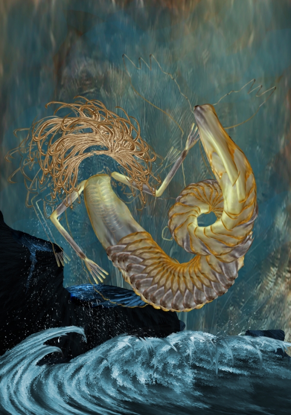 Creation of Mermaid: Step 13